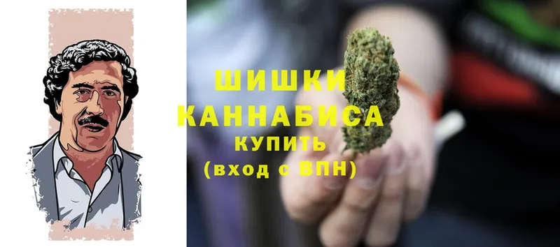 Канабис SATIVA & INDICA  MEGA онион  Егорьевск 